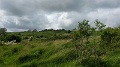 2014-05-10 14.46.47